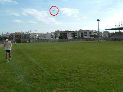 Altamura 17.09.2004 (insetto)